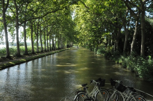 Pénichette habitable de location sans permis sur le canal du midi lors d'une croisière fluviale
